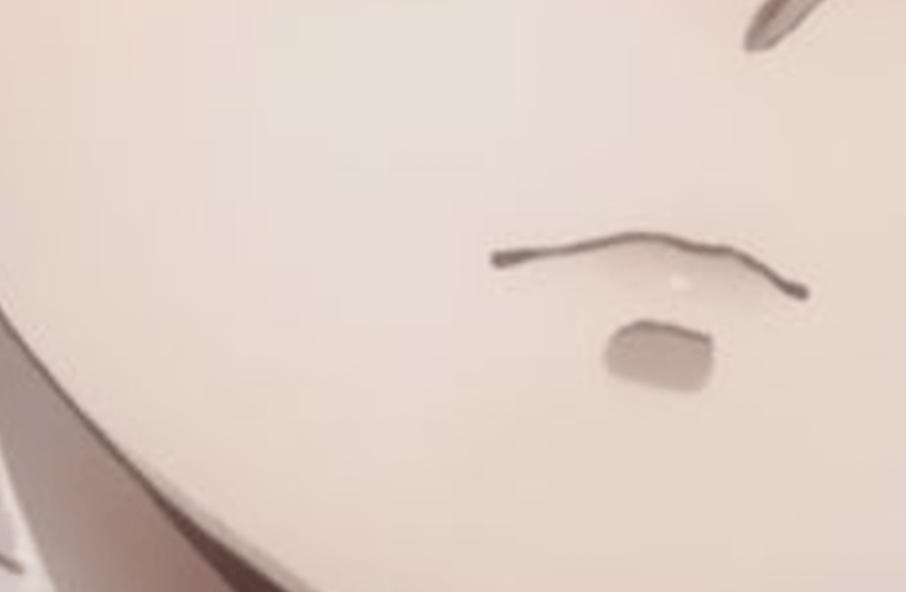Rin itoshi