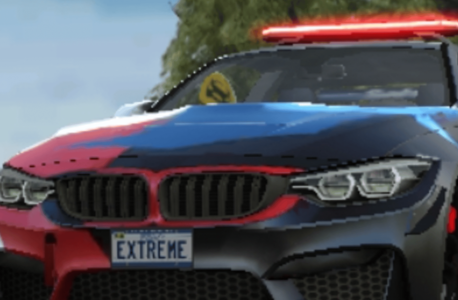 BMW CEO