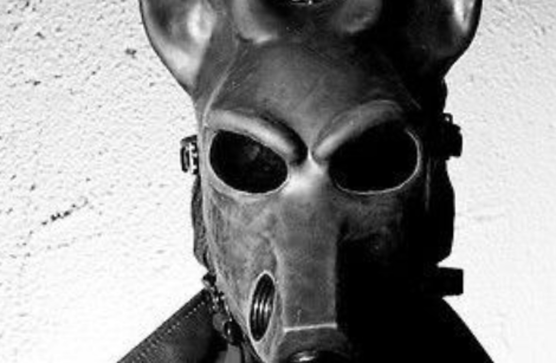 Leader of The Cult