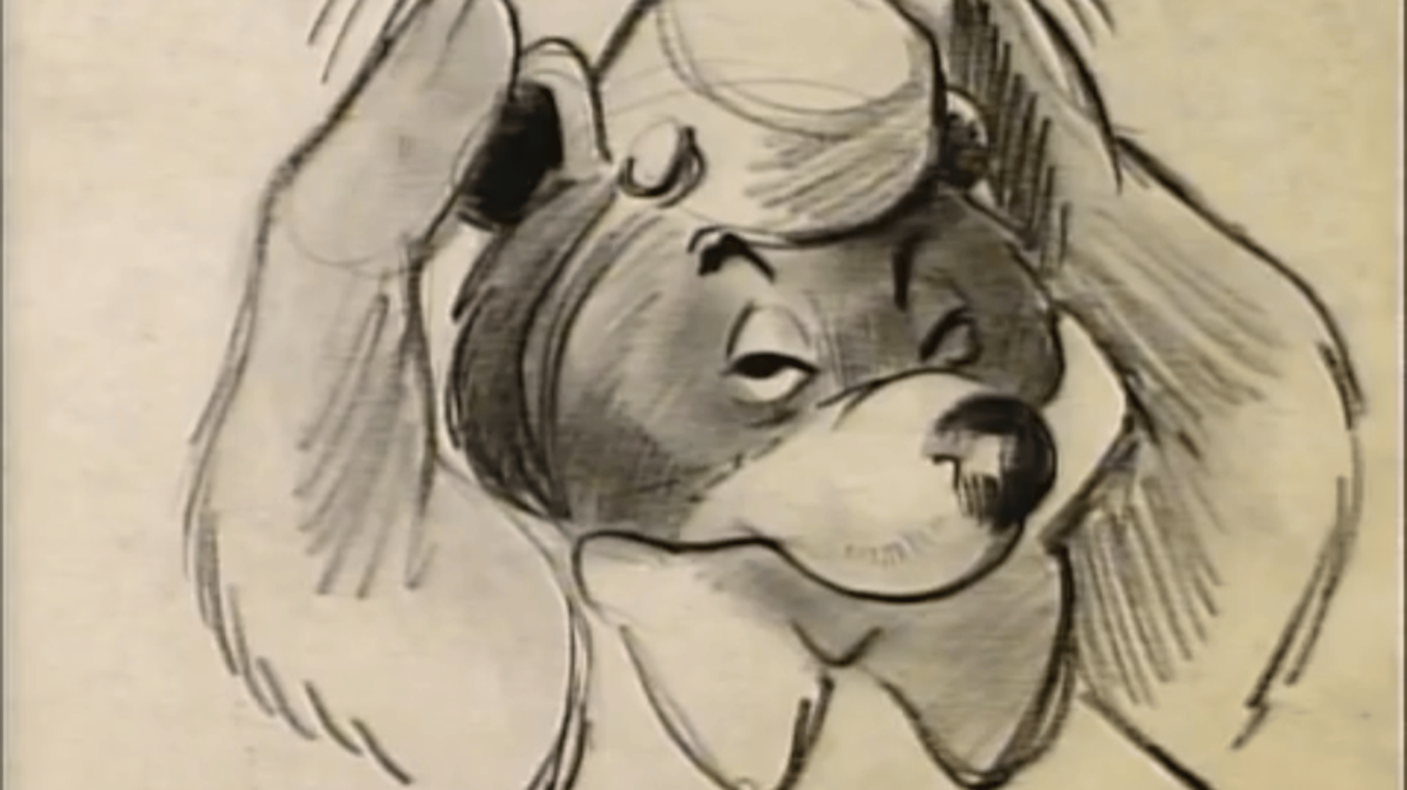 Bongo