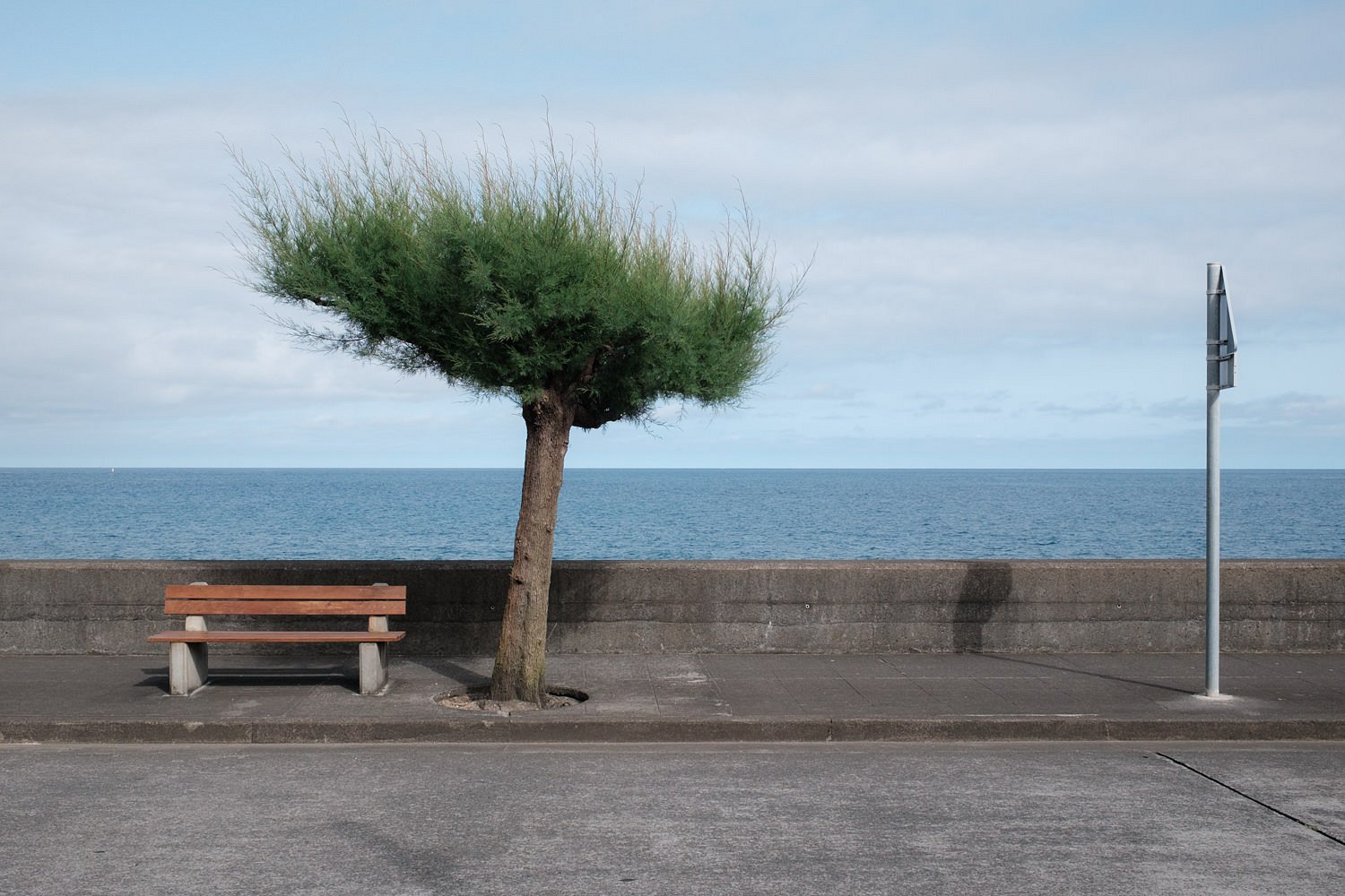 Shaded bench by the sea