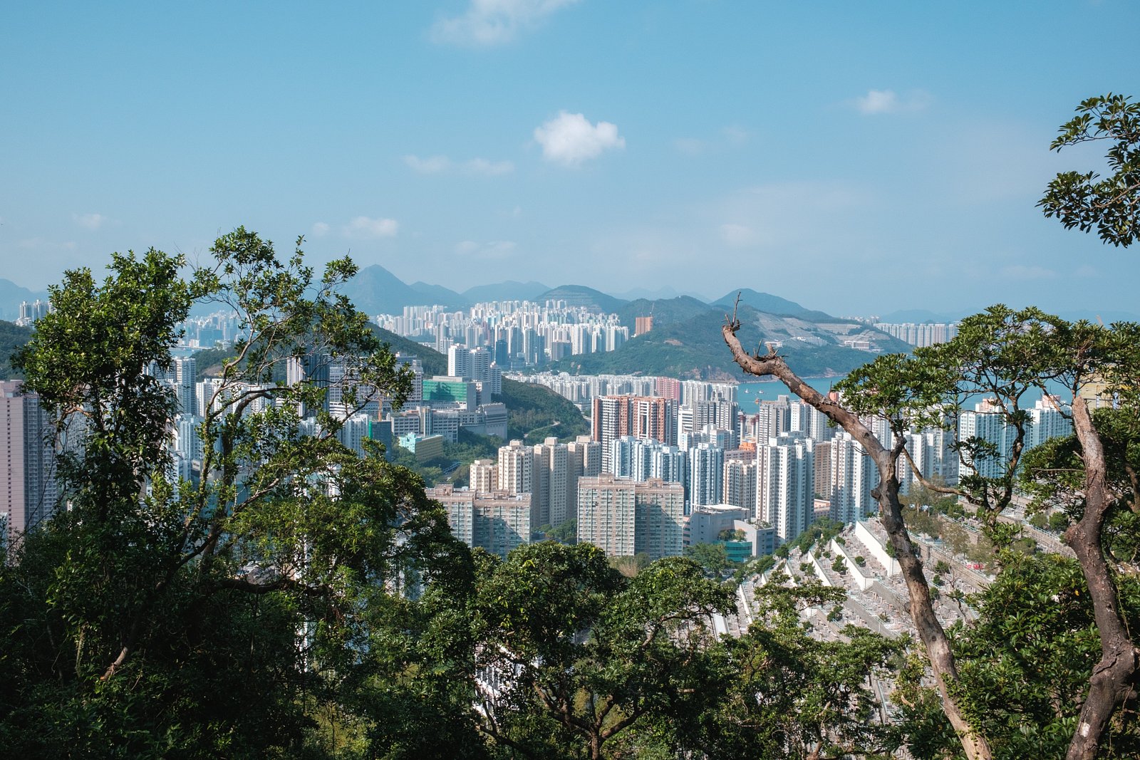 City overlook