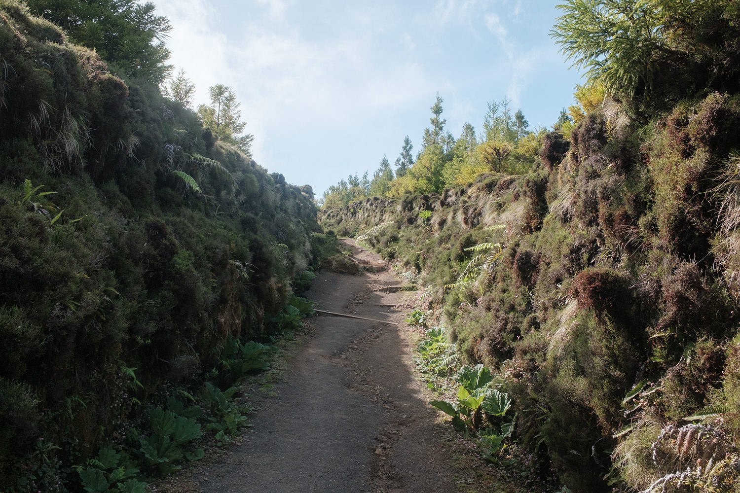 azores-0