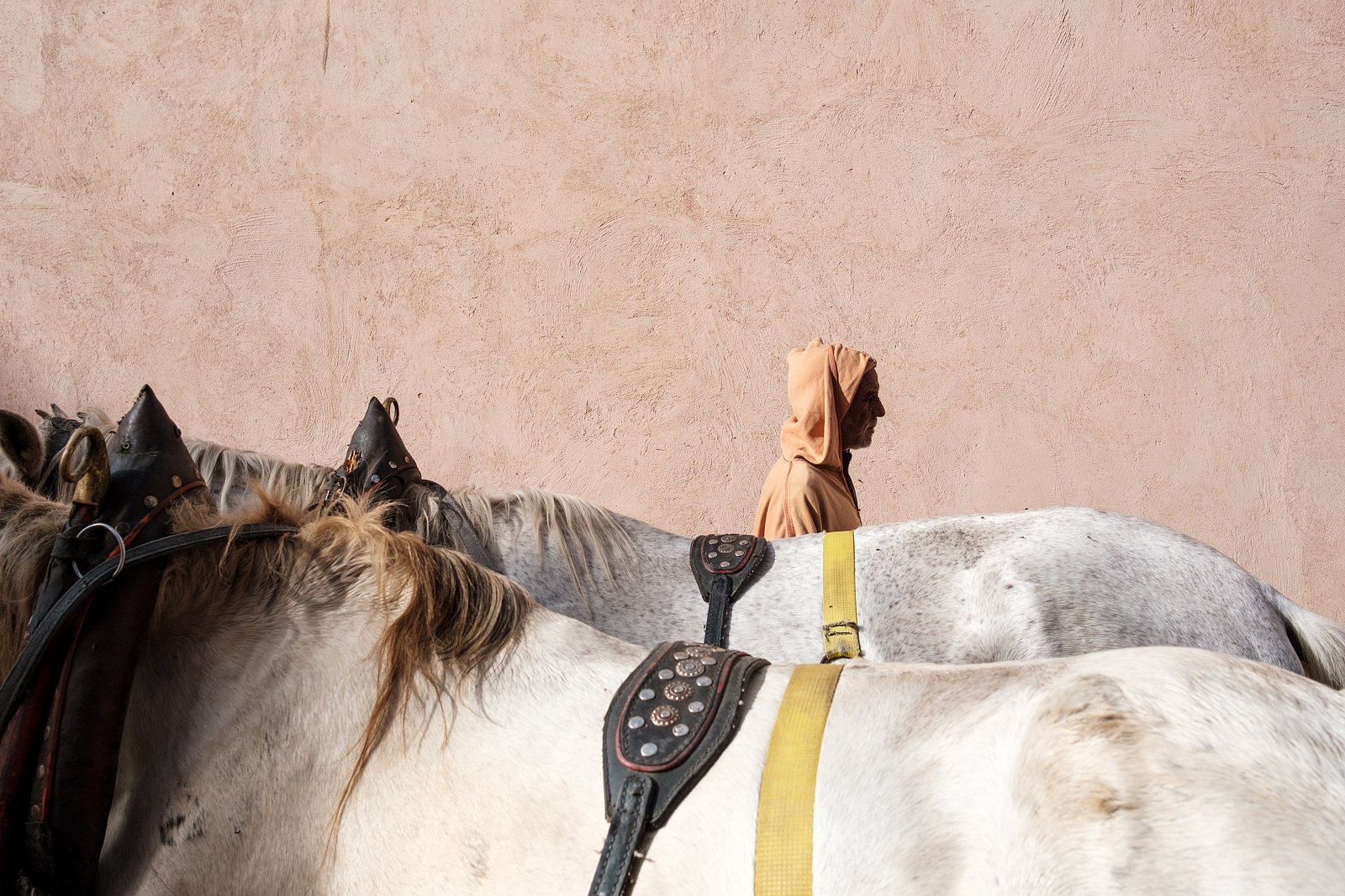 Man behind horses