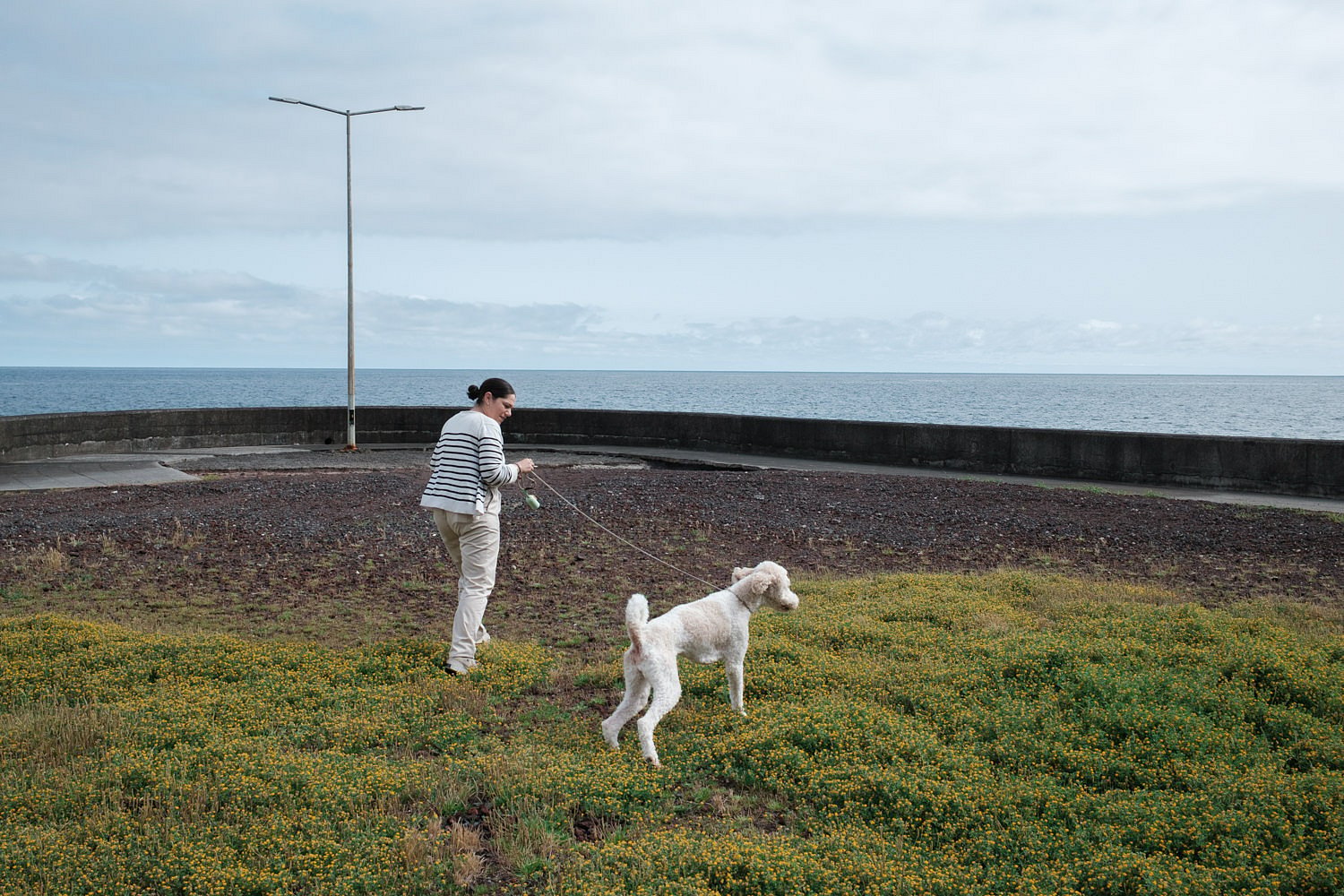 Woman walking dog