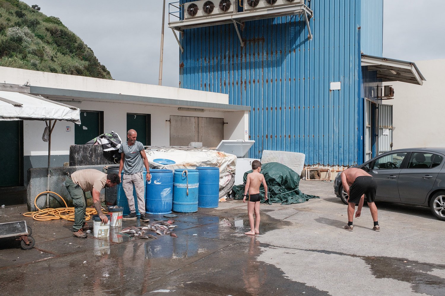 Fishermen in port organising fish