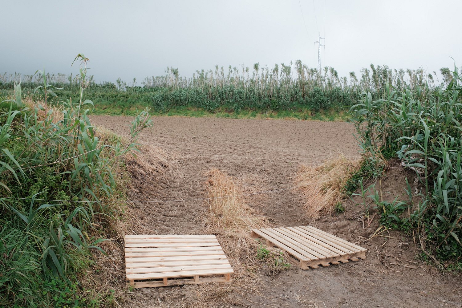 Wooden pallets on entrance to field