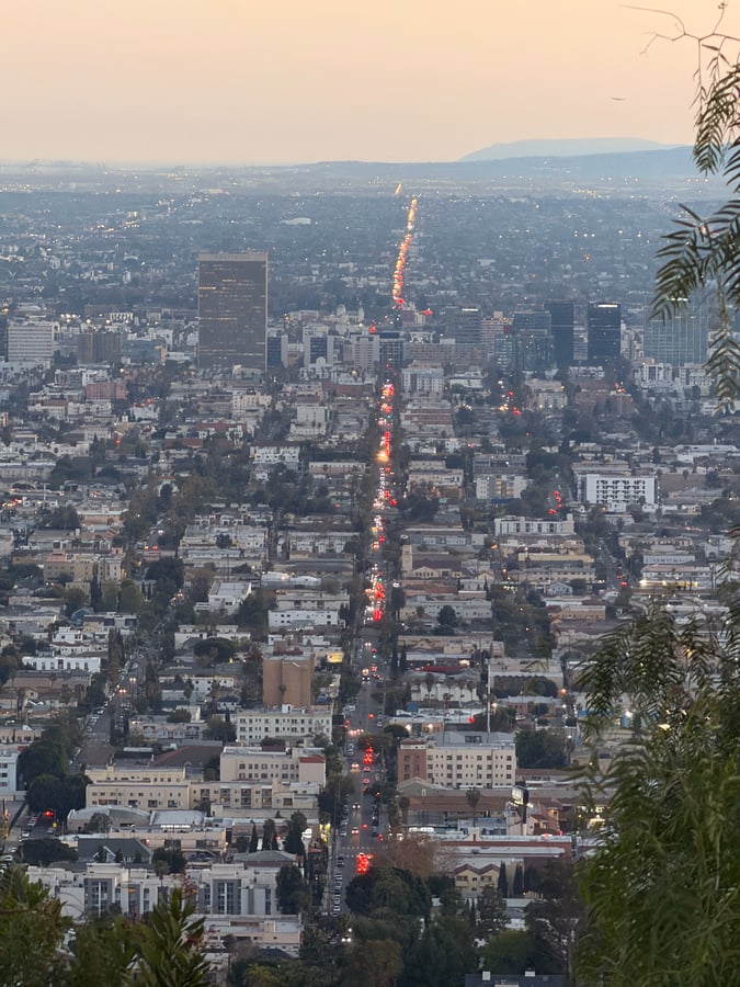 (taken with the iPhone 17 Pro 8x lens)