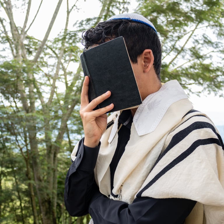 Description of the image