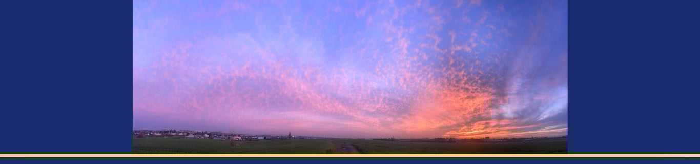 Description of the image