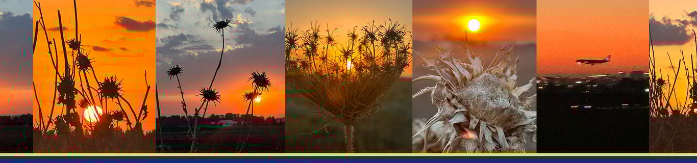 Description of the image