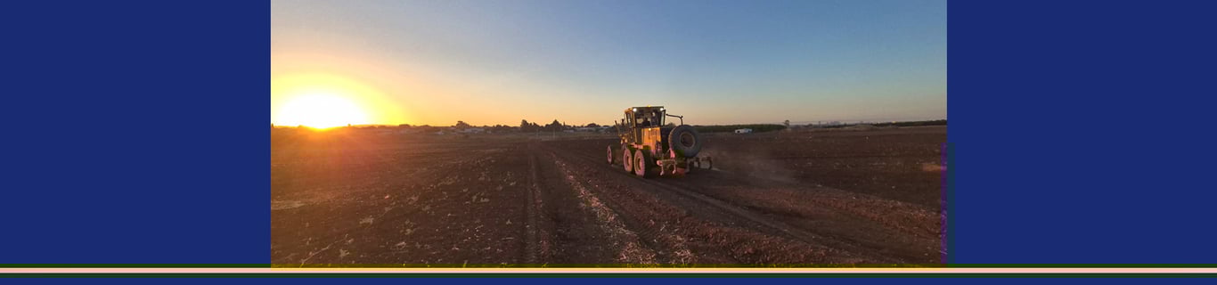 Description of the image