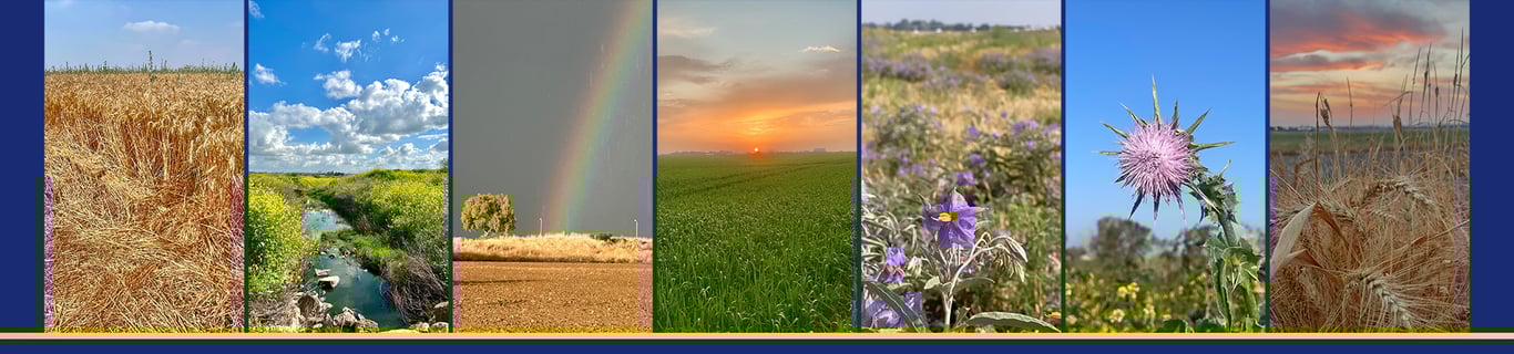 Description of the image