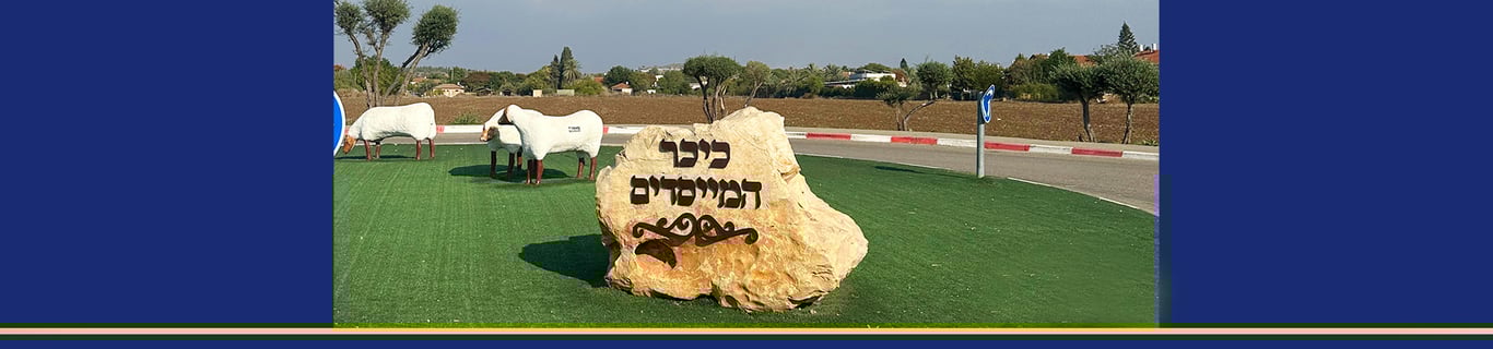 Description of the image