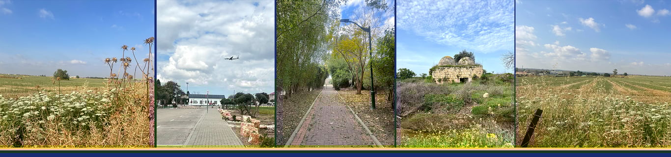 Description of the image