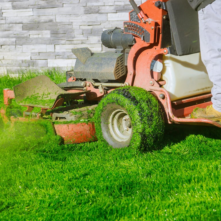 Description of the image