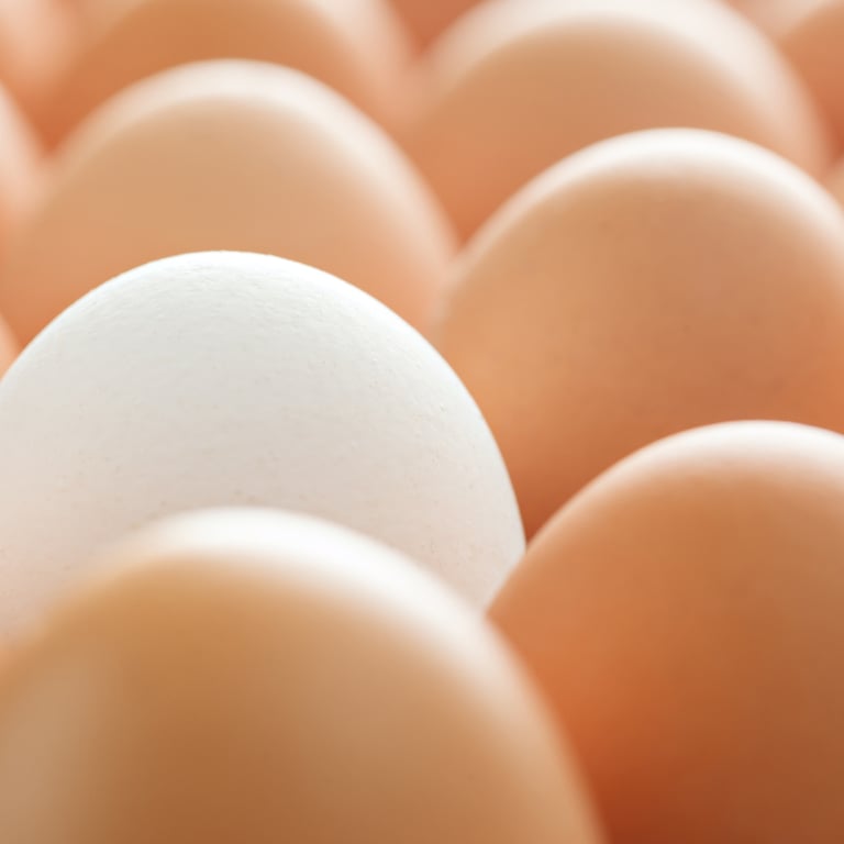 Description of the image