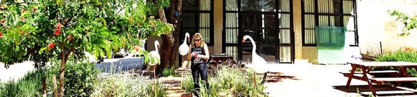 Description of the image