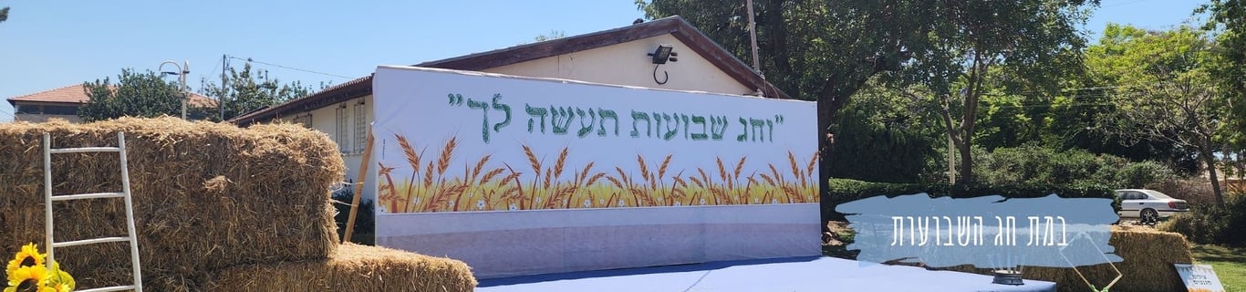 Description of the image