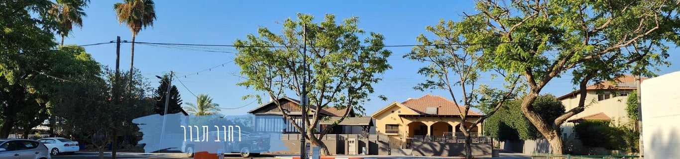 Description of the image