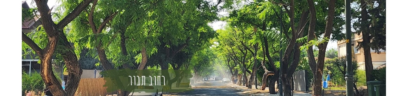 Description of the image