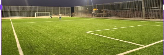 Description of the image