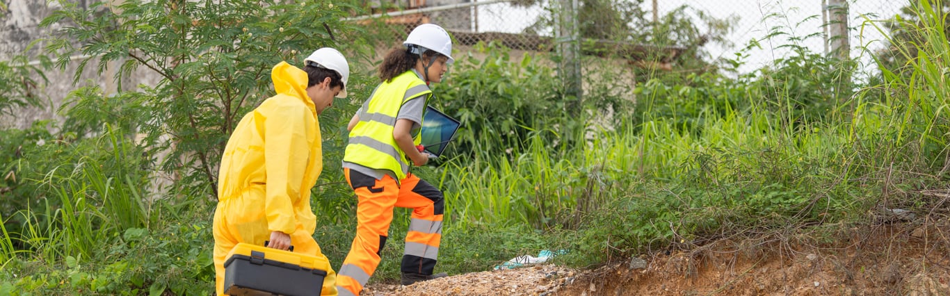 Description of the image