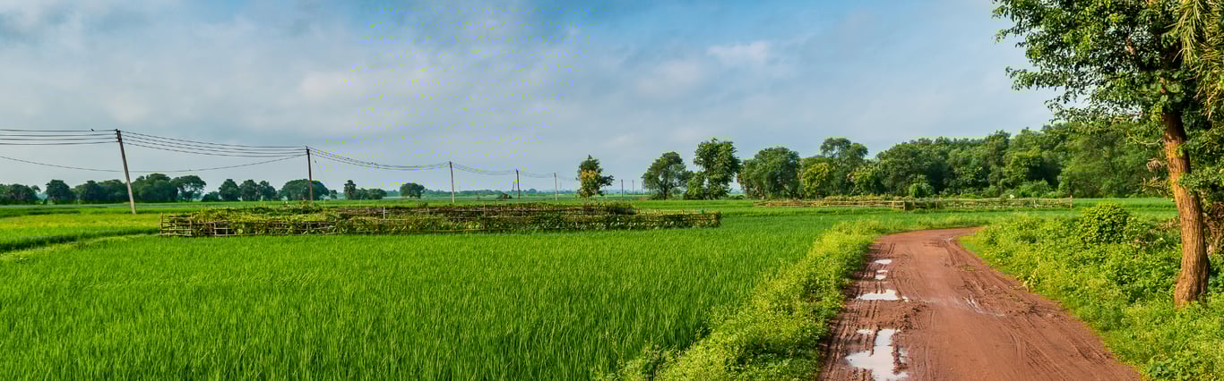 Description of the image