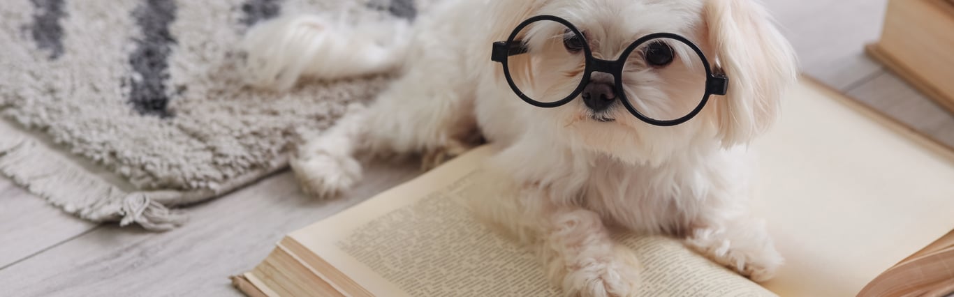 Description of the image