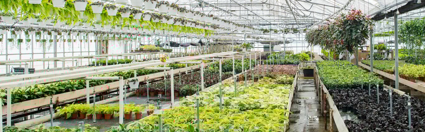 Description of the image