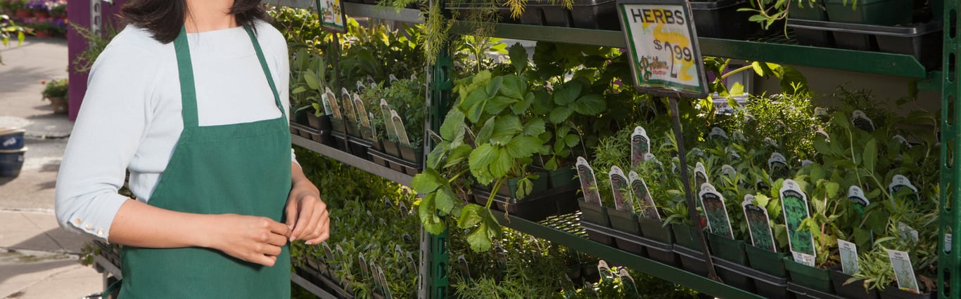 Description of the image