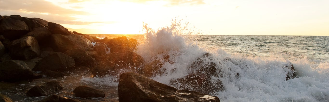 Description of the image