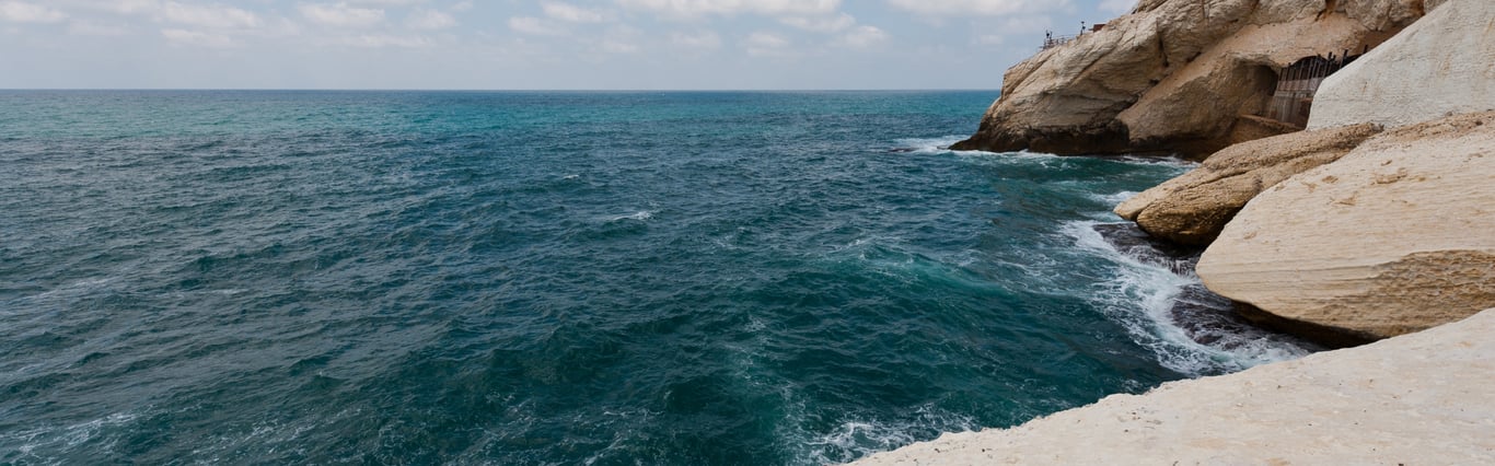 Description of the image