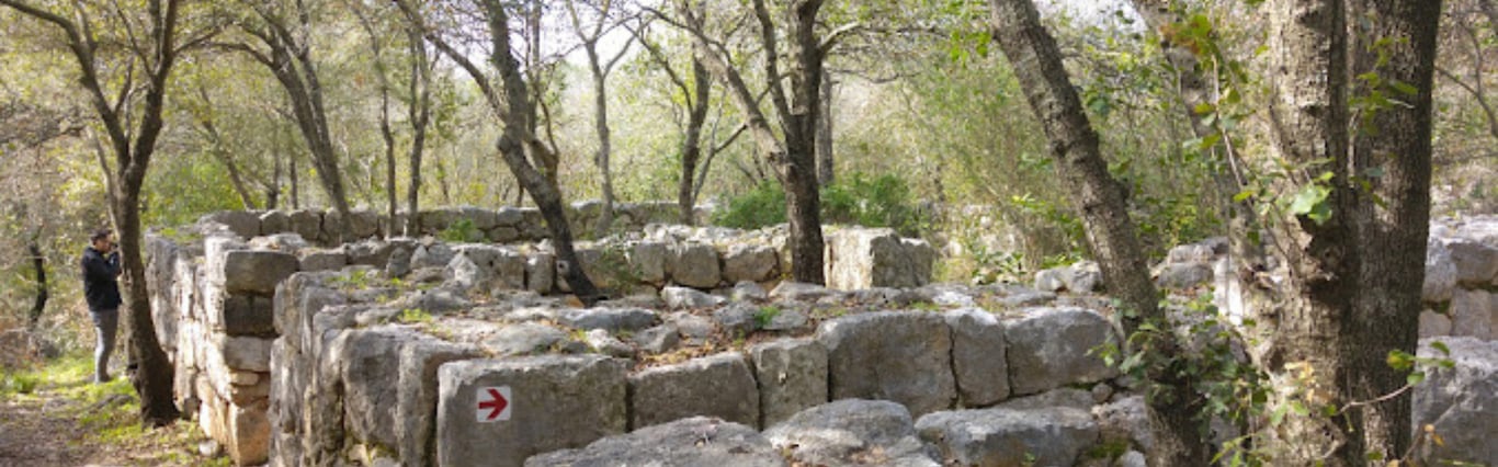 Description of the image