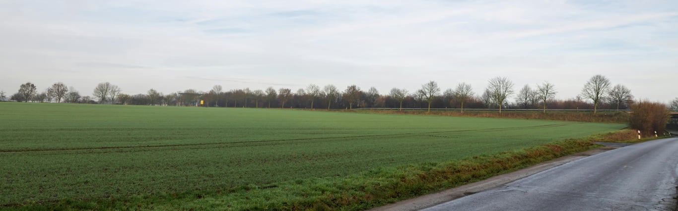 Description of the image