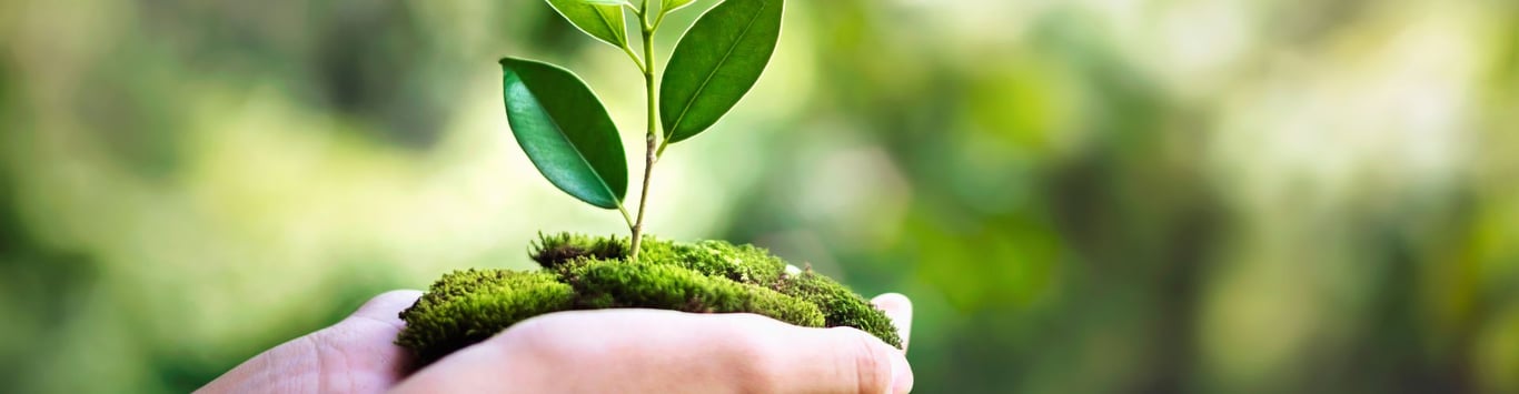 Description of the image