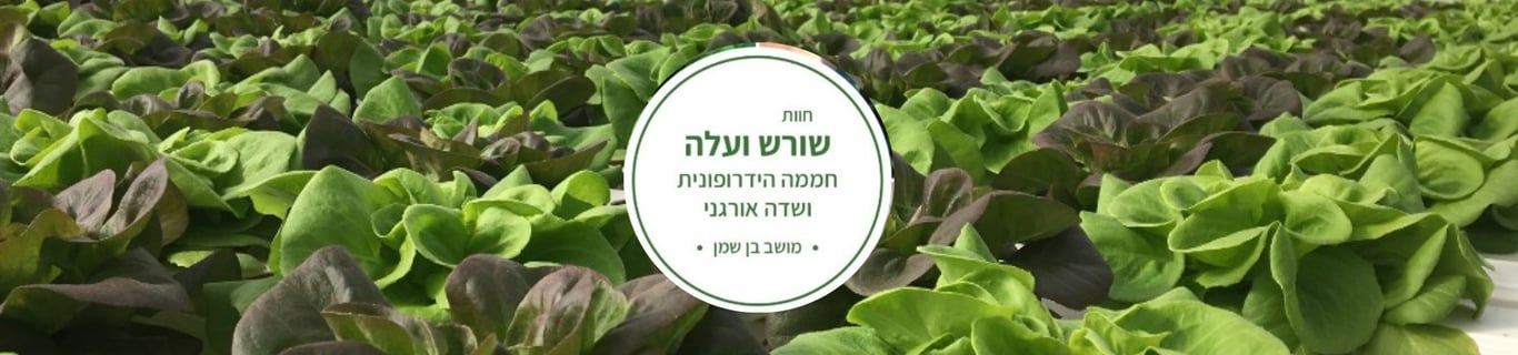 חוות שורש ועלה - בן שמן