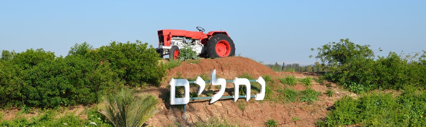 Description of the image