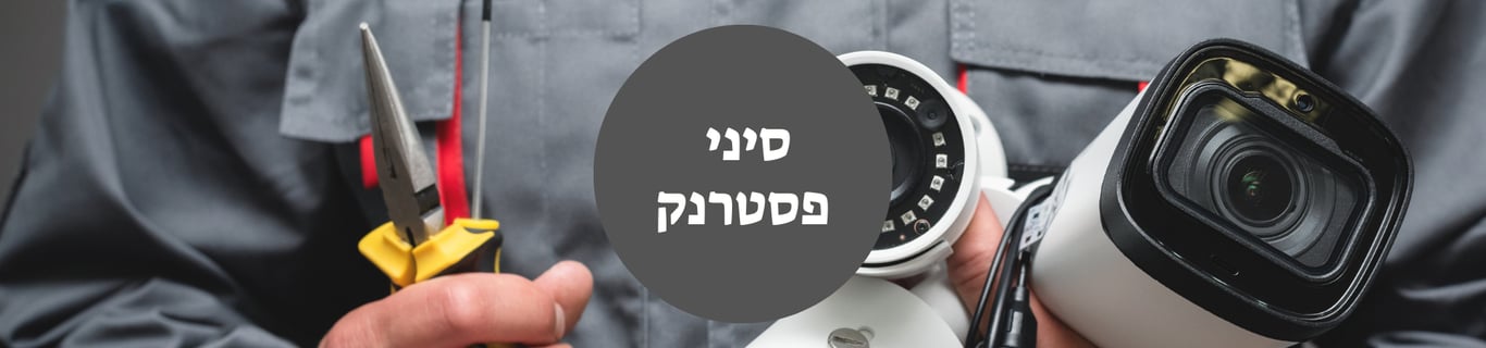 סיני פסטרנק