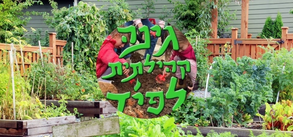 blog title