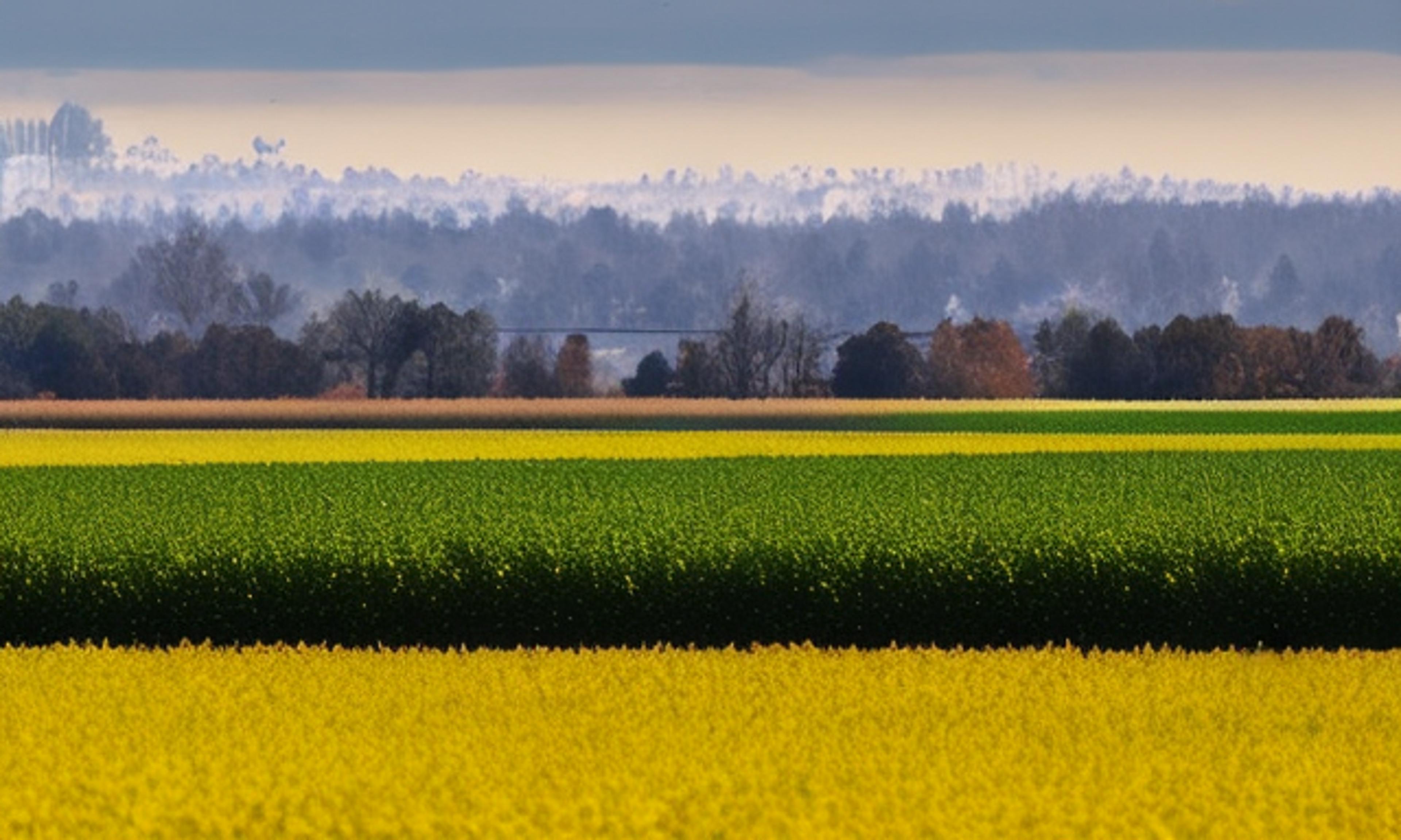 USDA Extends Deadline for Mandatory 2022 Census of Agriculture Participation