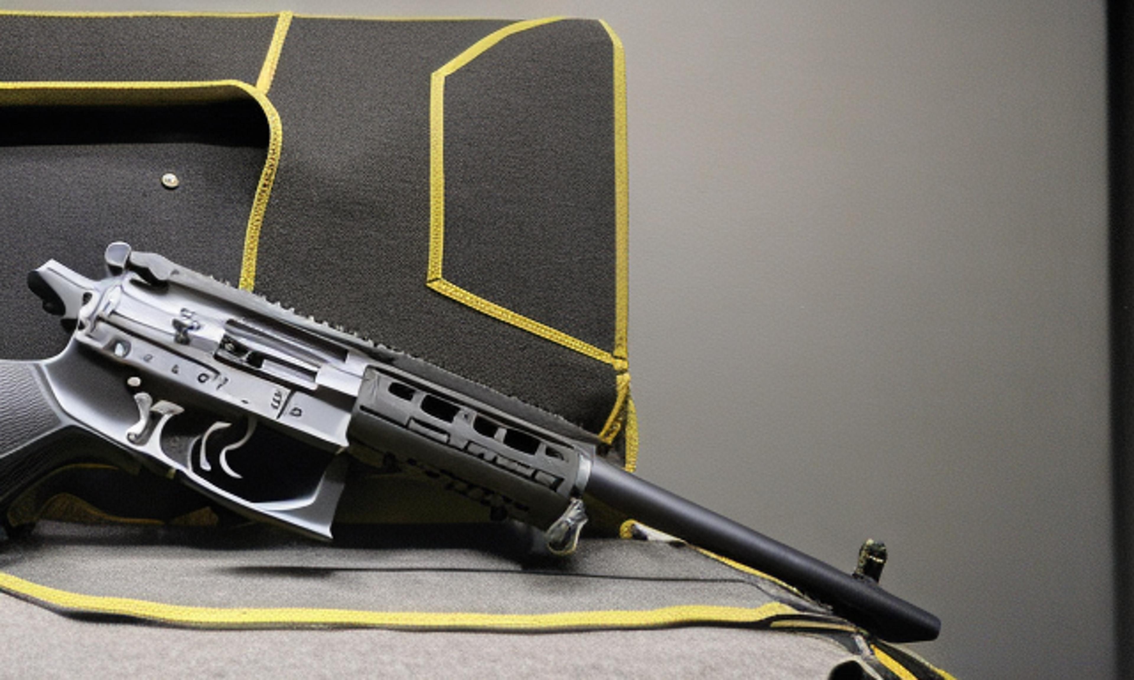 Illinois Gun Sellers Anticipate Surge in Sales Following Temporary Halt on State's Ban