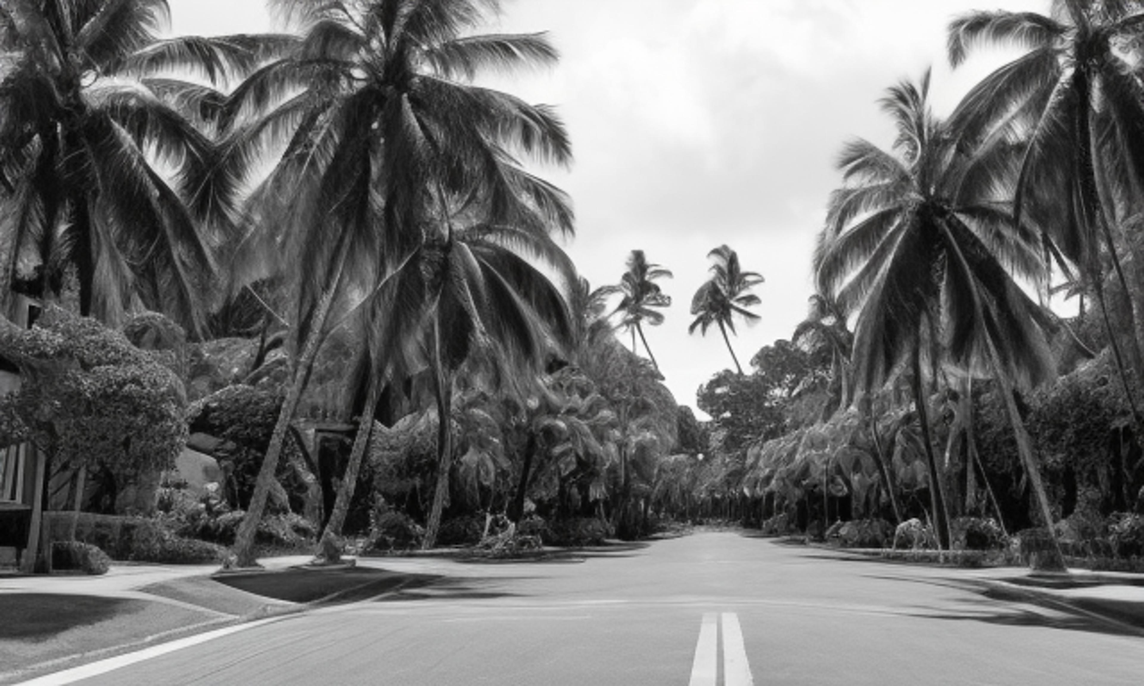 Oahu Business Recovery Grants Program to Reopen, Awarding $6.5 Million to 330 Small Businesses