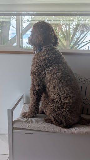 Attachment from Maeby