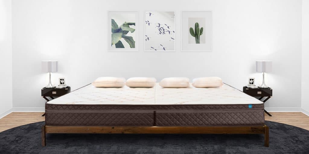 Bed Frame with Mattress