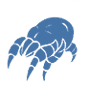 Dust_Mite.png
