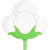 cotton.png