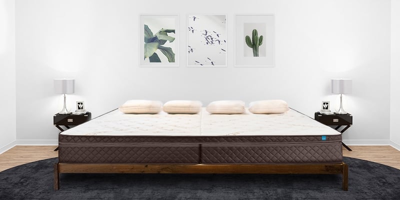 Bed Frame with Mattress