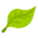 leaf-icon-1.png