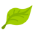 leaf-icon-1.png